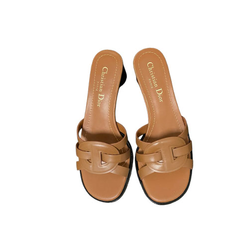 Tan Brown Leather Dior D